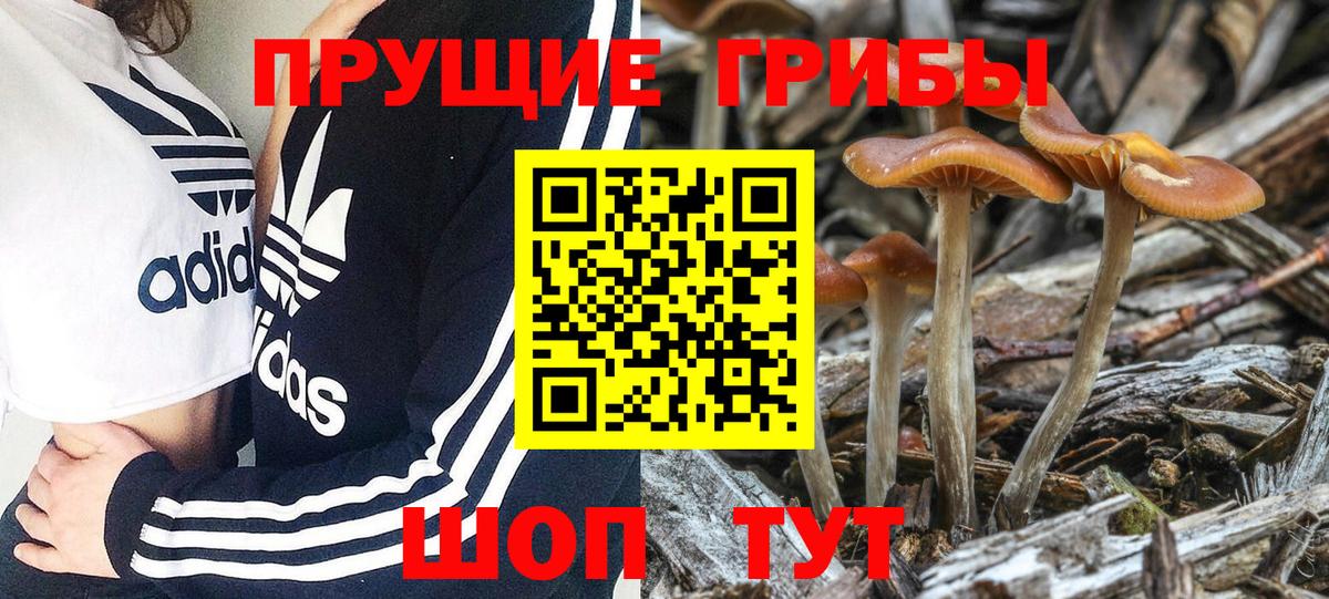 Псилоцибиновые грибы ЛСД  Вход с VPN  Тимашёвск  Галлюциногенные грибы мухоморы 